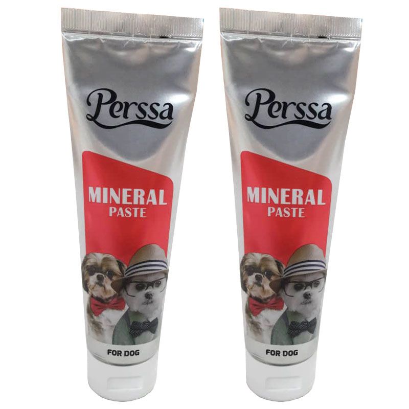 خمیر مینرال سگ پرسا مدل mineral paste وزن 100 گرم بسته 2 عددی